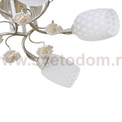 Потолочный светильник Экономсвет 51136/5WT WT