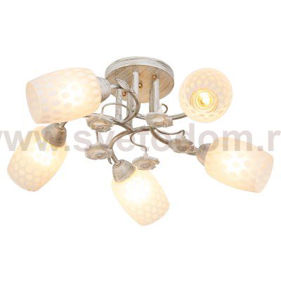 Потолочный светильник Экономсвет 51136/5WT WT