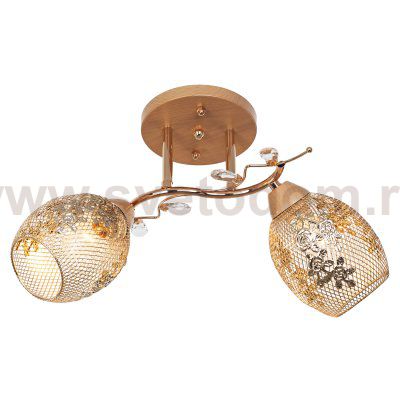 Потолочный светильник Экономсвет 51150/2FG FG