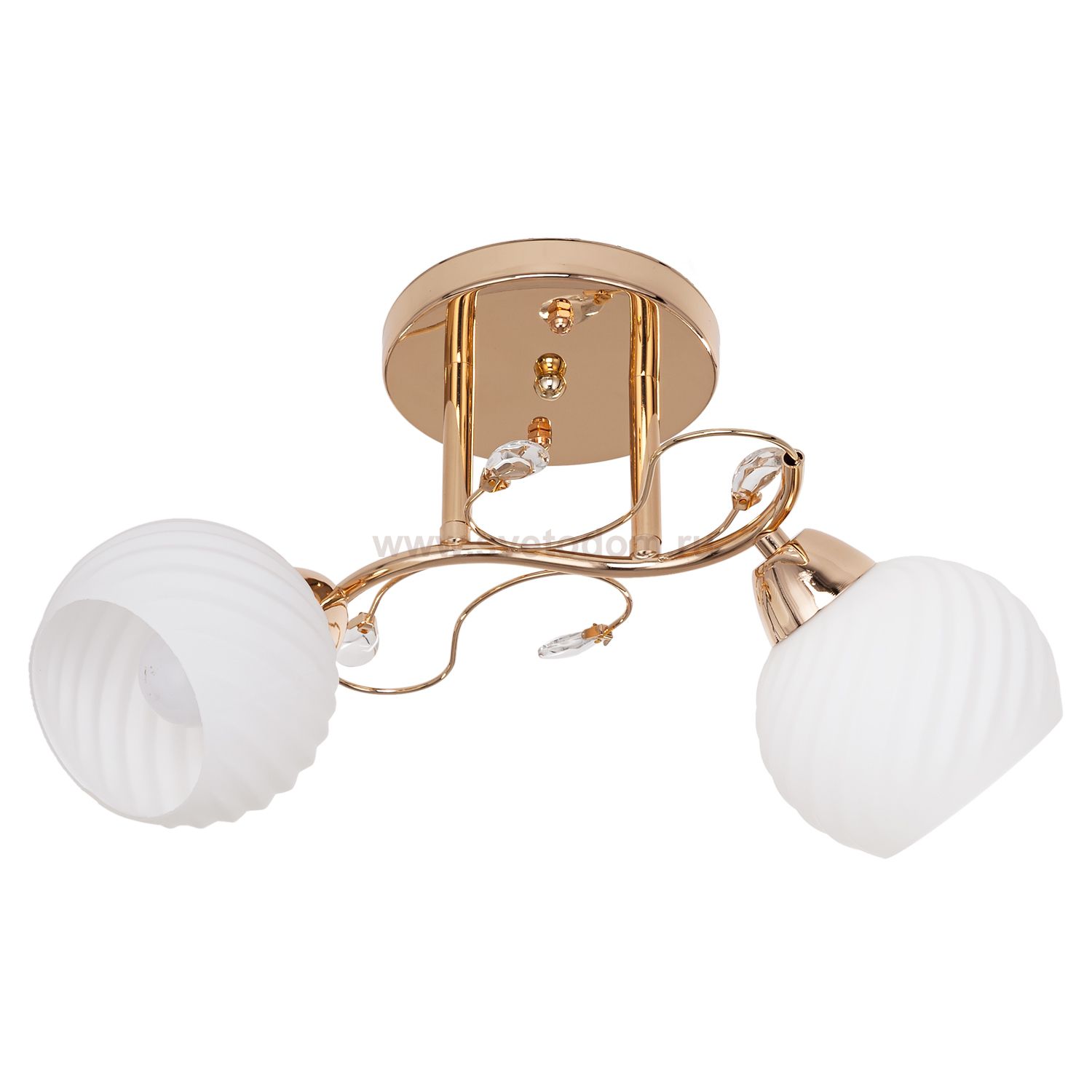 Потолочный светильник Экономсвет 51158A/2FG WT