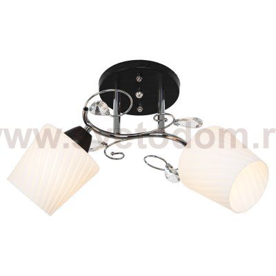Потолочный светильник Экономсвет 51166/2BK+CR WT