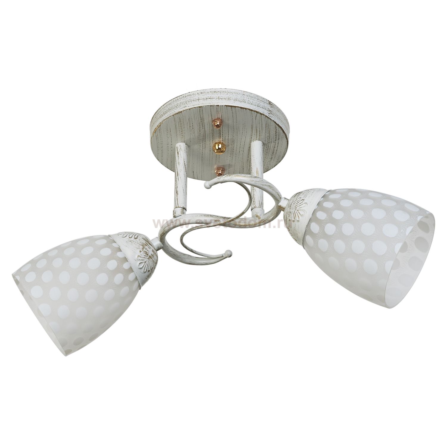 Потолочный светильник Экономсвет 51183/2WT WT