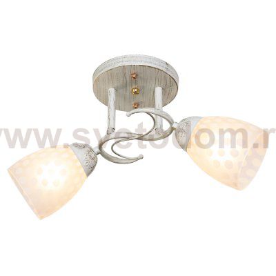 Потолочный светильник Экономсвет 51183/2WT WT