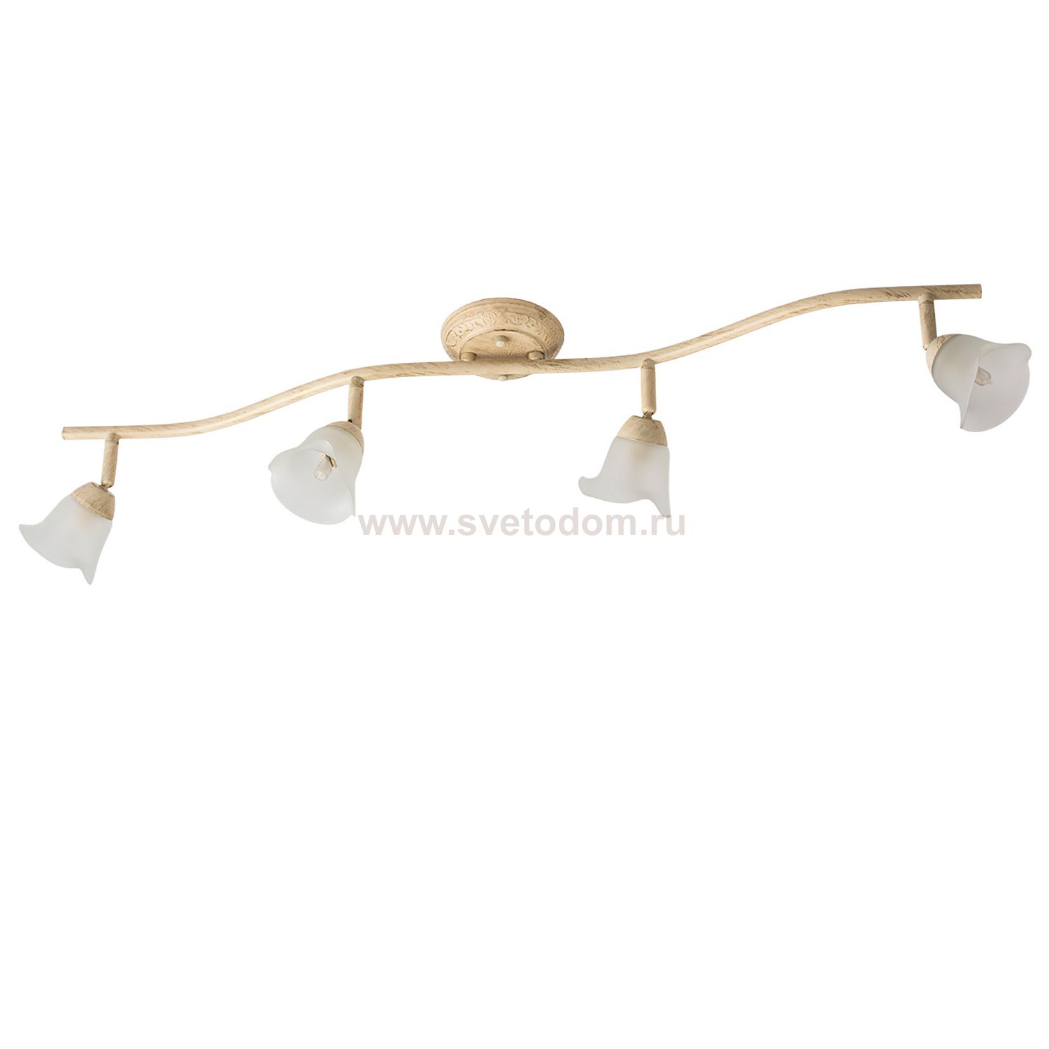 Светильник поворотный спот Mw light 512020404 Адель