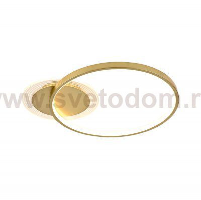 Потолочный светодиодный светильник 51210/1GD Экономсвет