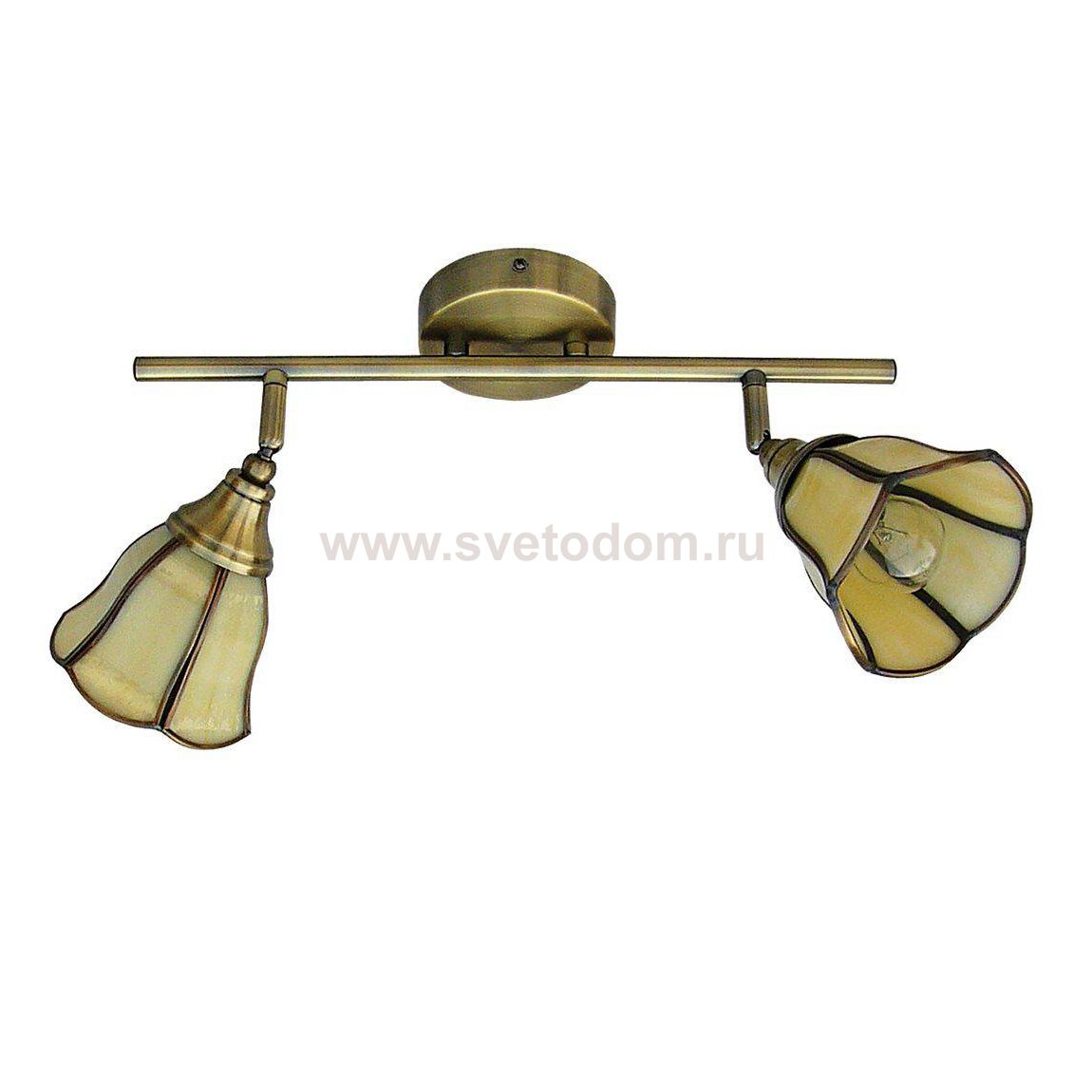 Настенный светильник бра Favourite 5133-2C North Tulip