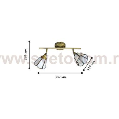 Настенный светильник бра Favourite 5133-2C North Tulip