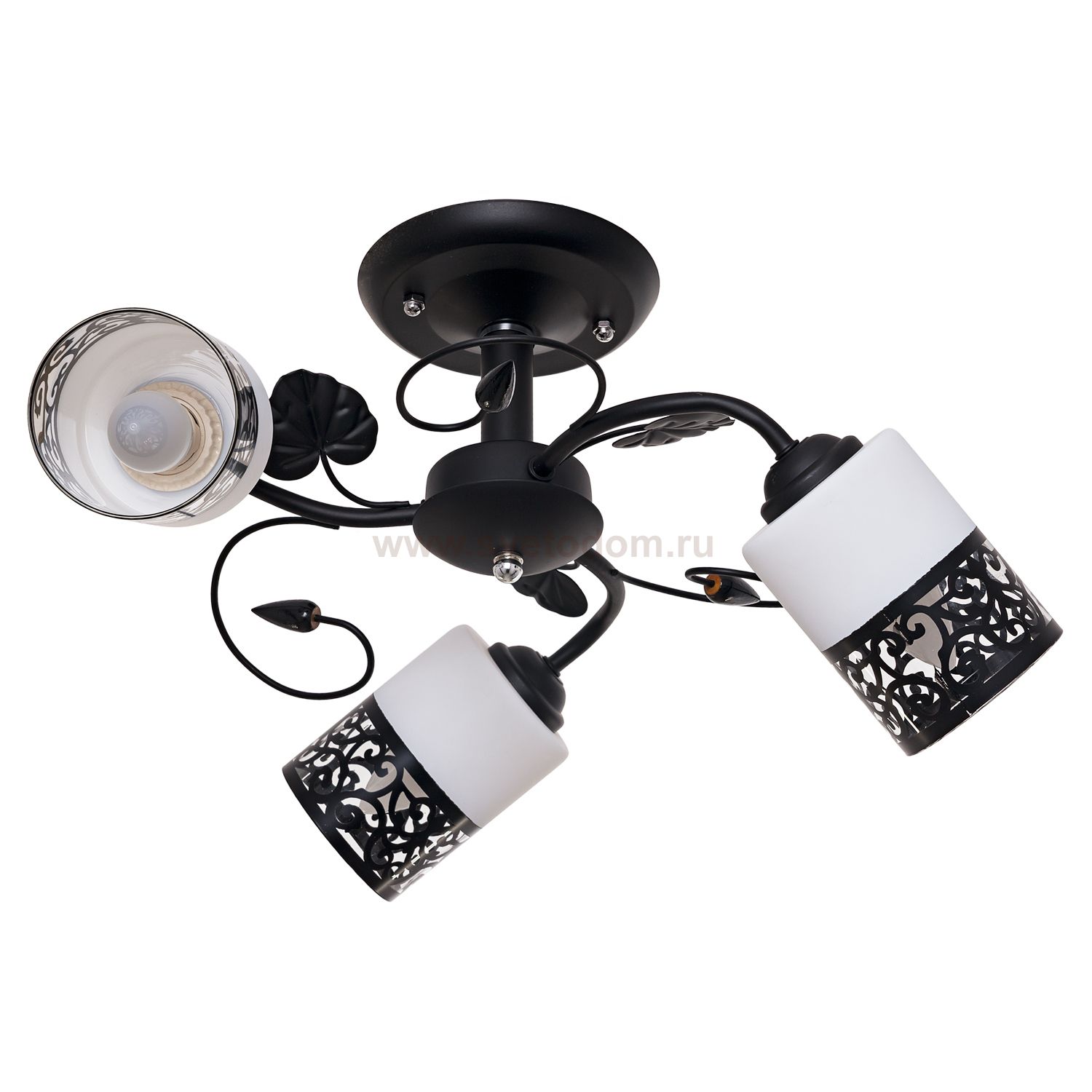 Потолочный светильник Экономсвет 5154/3BK WT