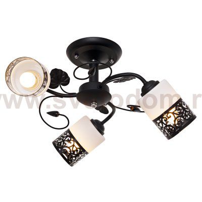 Потолочный светильник Экономсвет 5154/3BK WT