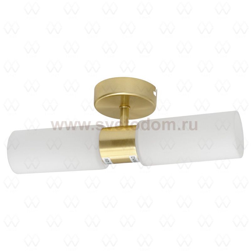 Светильник настенно-потолочный Mw light 516020902 Варна