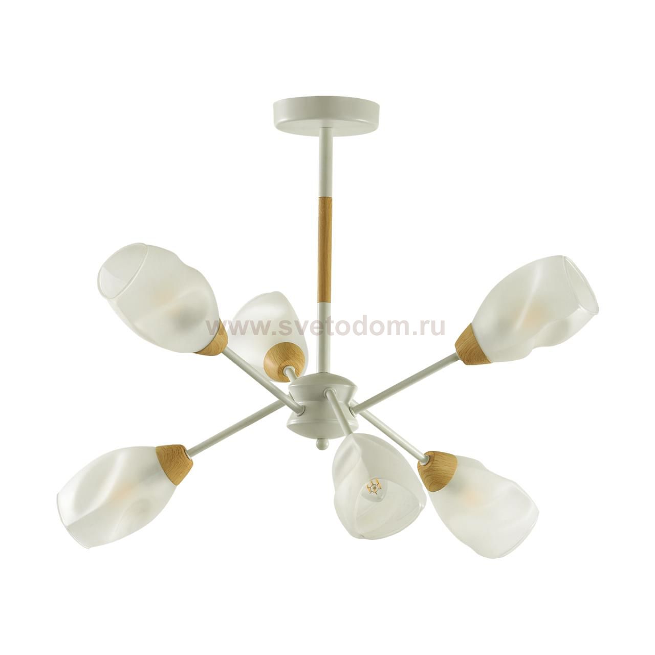 Люстра потолочная Odeon Light 5210/6C COUNTY