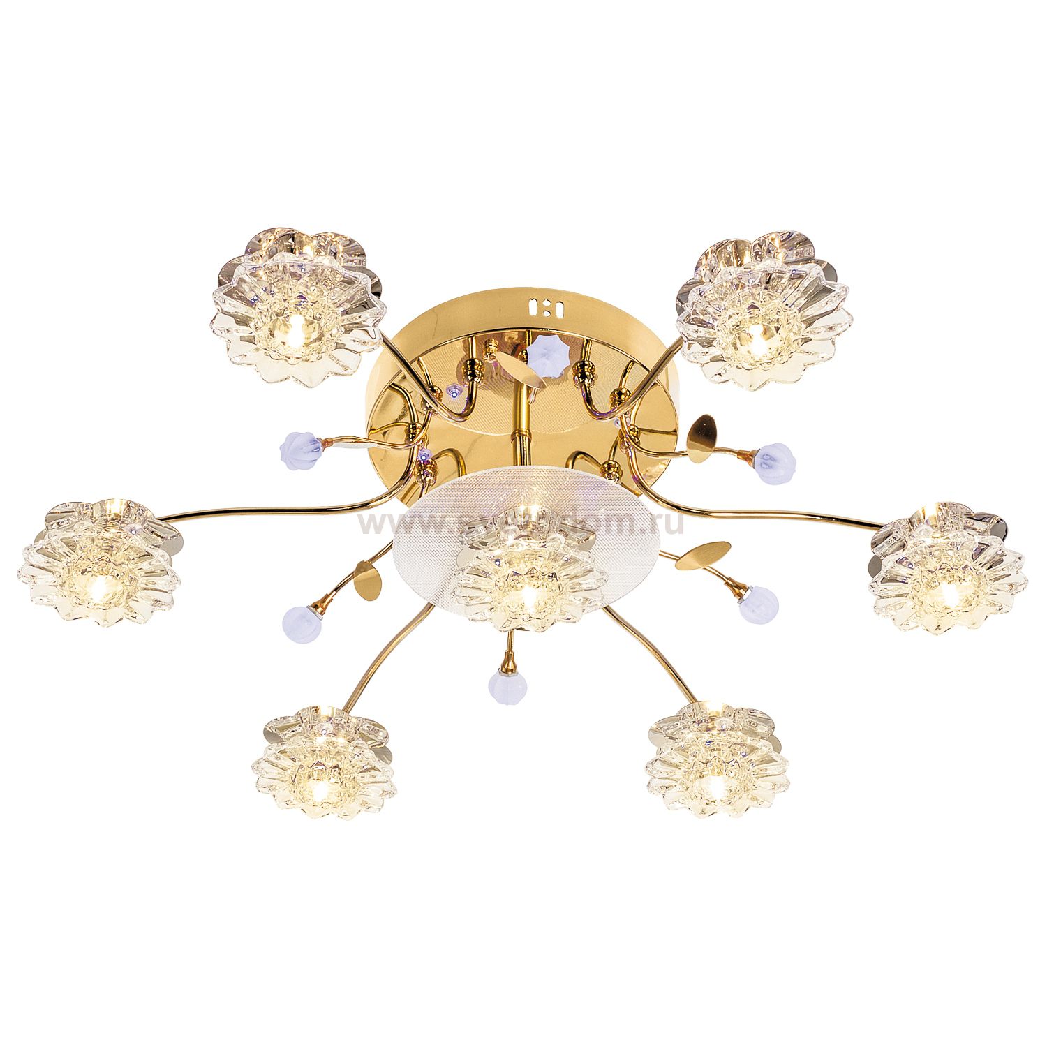 Светильник ЭкономСвет 5211/6+1FGD RC BLLED