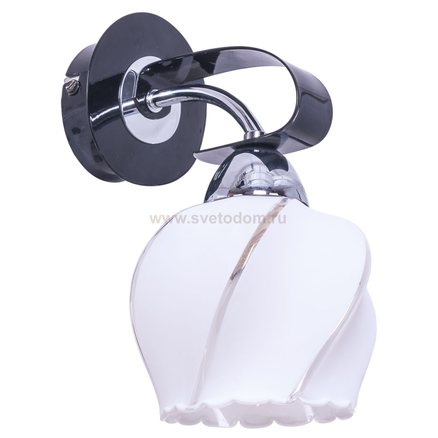 Еврокаркас Экономсвет 5216N/1wCR+BK WT