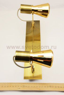 Светильник поворотный спот Citilux CL527523 Марс