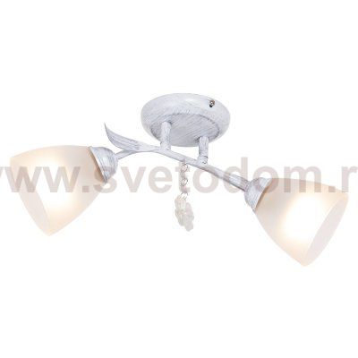 Потолочный светильник Экономсвет 53521/2WG WT