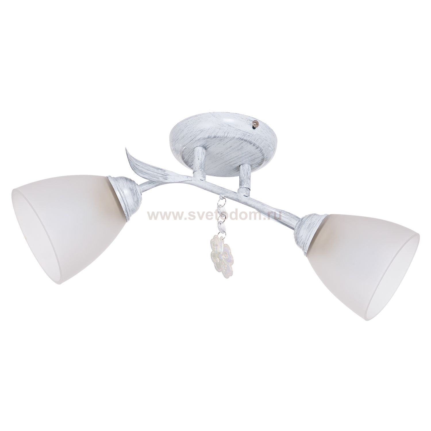 Потолочный светильник Экономсвет 53521/2WG WT