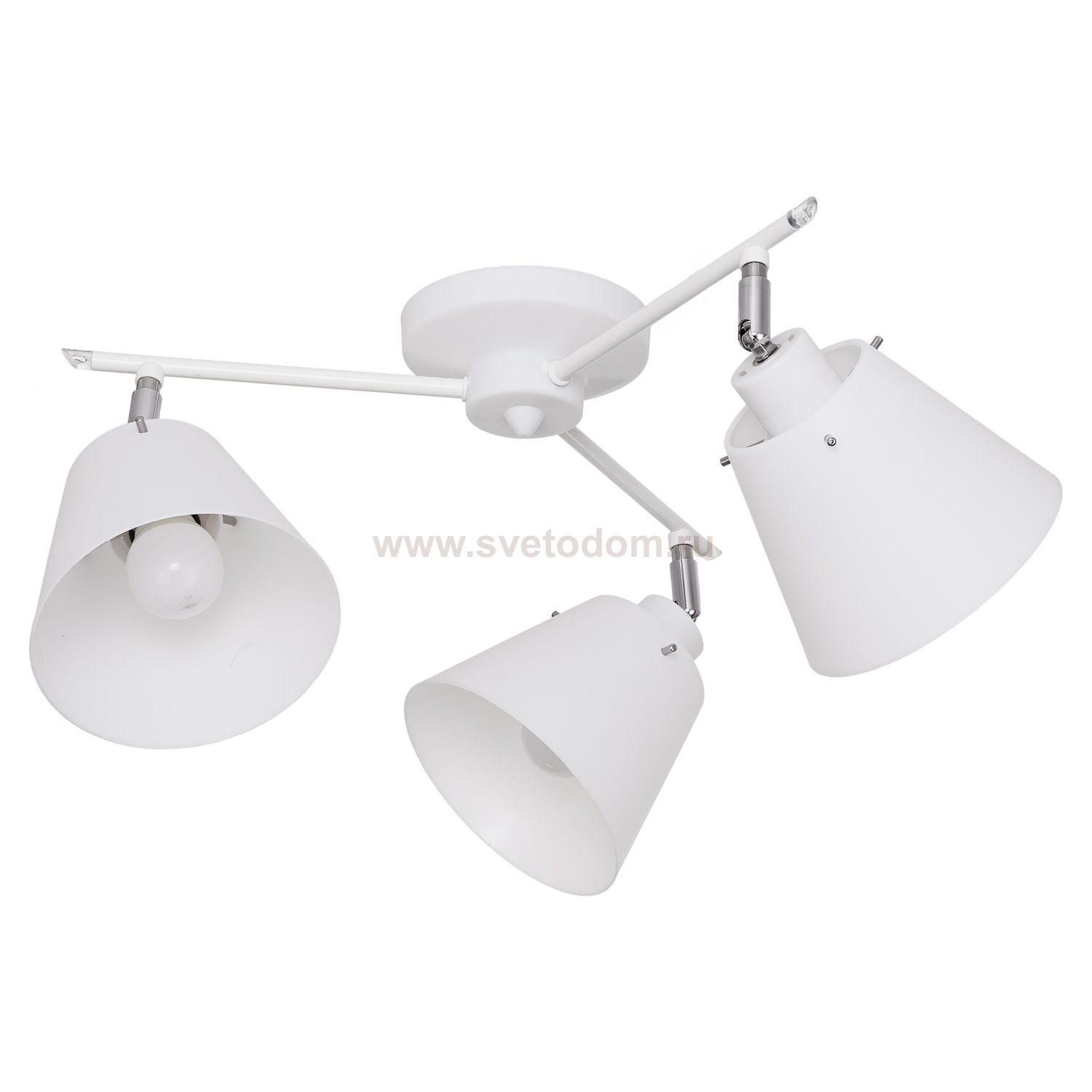 Потолочный светильник Экономсвет 53647/3WT WT