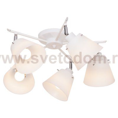 Потолочный светильник Экономсвет 53647/5WT WT