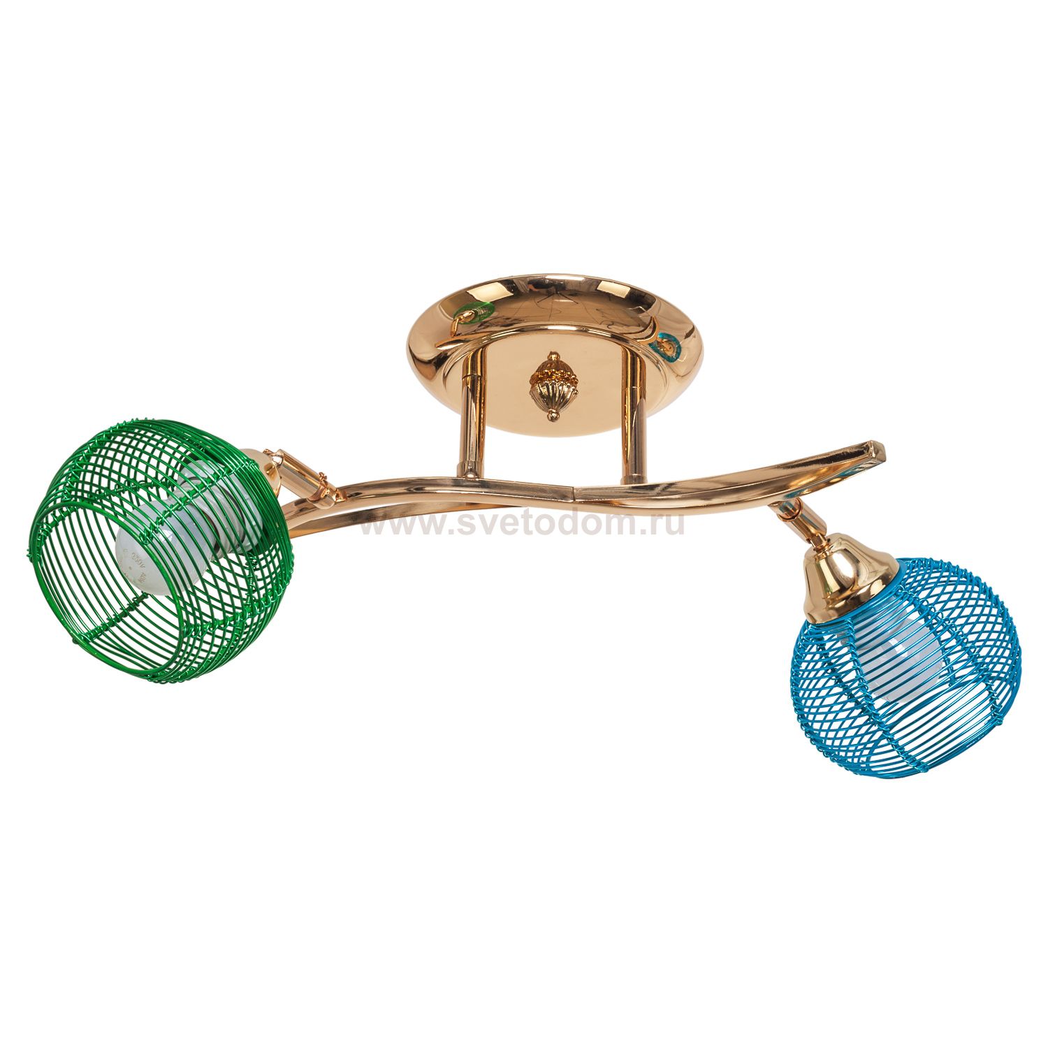 Потолочный светильник Экономсвет 537LX/2FG MIX(BLGN)