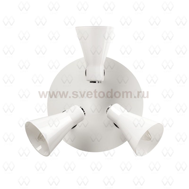 Светильник поворотный спот Mw light 542020303 Айс