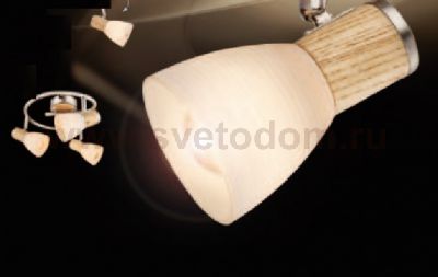 Спот Globo 54352-3