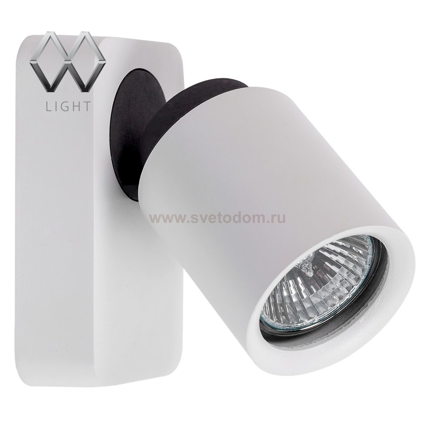 Светильник поворотный спот Mw light 545020401 Астор