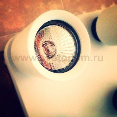 Светильник поворотный спот Mw light 545020704 Астор