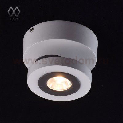Светильник поворотный спот Mw light 545020801 Астор