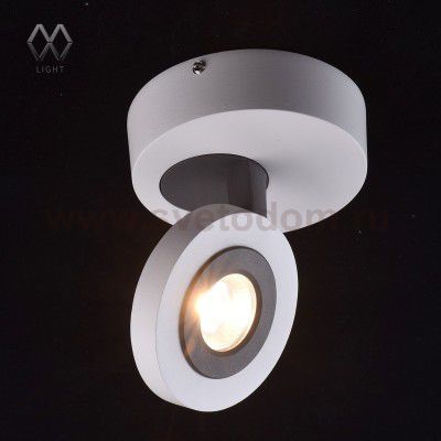 Светильник поворотный спот Mw light 545020801 Астор
