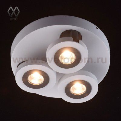 Светильник поворотный спот Mw light 545020903 Астор