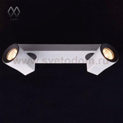 Светильник поворотный спот Mw light 545021102 Астор