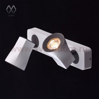 Светильник поворотный спот Mw light 545021102 Астор