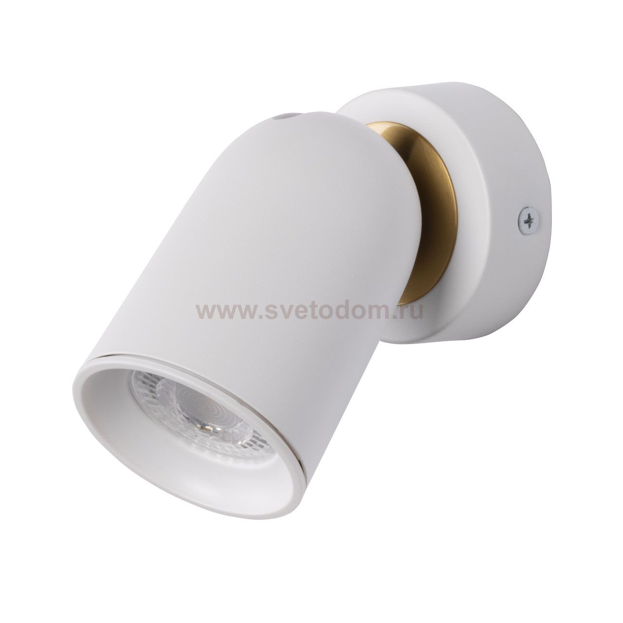 Настенный светильник бра Mw light 545024201 Астор