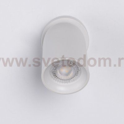 Настенный светильник бра Mw light 545024201 Астор