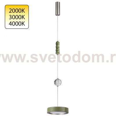 Светильник подвесной одиночный Odeon light 5451/32LA RIVIERA