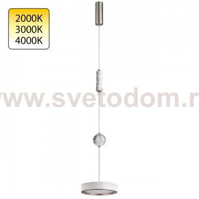 Светильник подвесной одиночный Odeon light 5451/32L RIVIERA