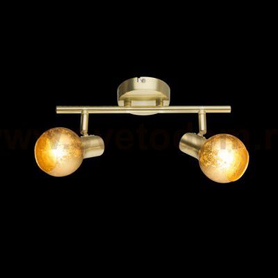 Спот Globo 54841-2 TIGRE