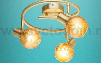 Спот Globo 54841-3 TIGRE