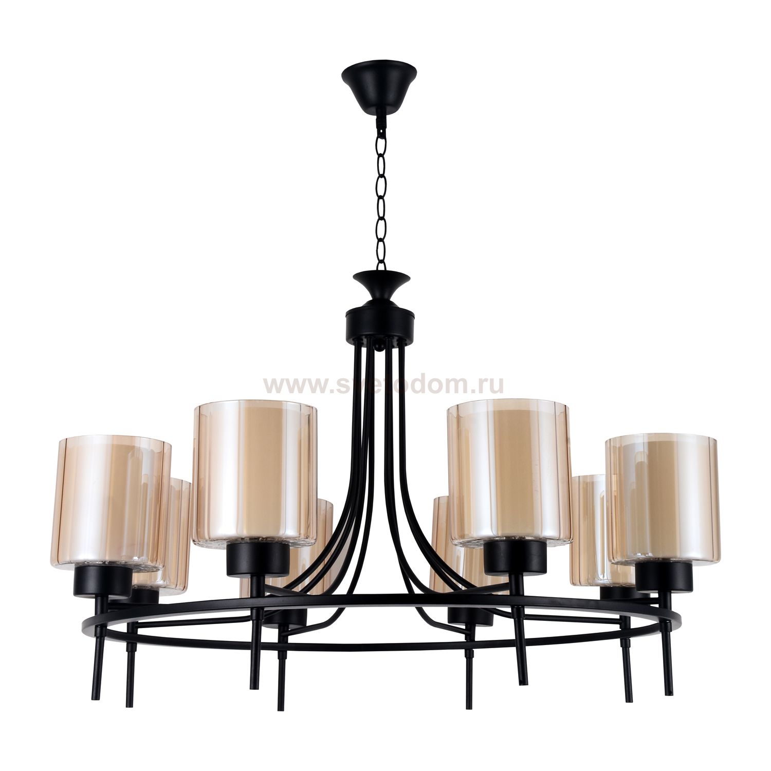 Люстра современная Экономсвет 55068/8BK BR+WT