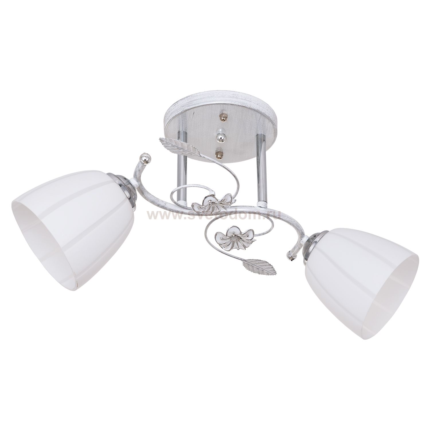 Потолочный светильник Экономсвет 5521/2WT WT