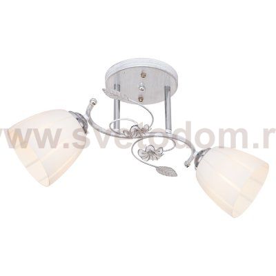 Потолочный светильник Экономсвет 5521/2WT WT
