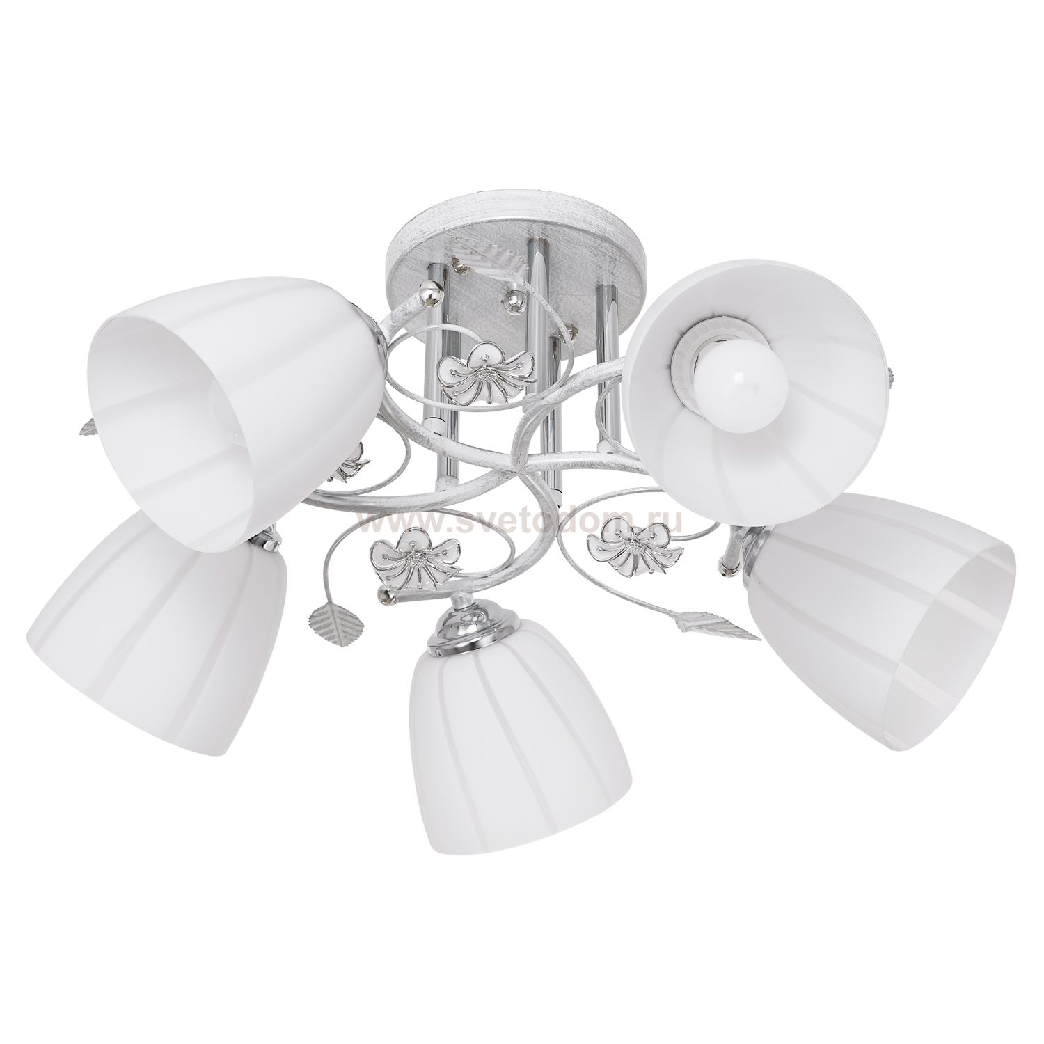 Потолочный светильник Экономсвет 5521/5WT WT