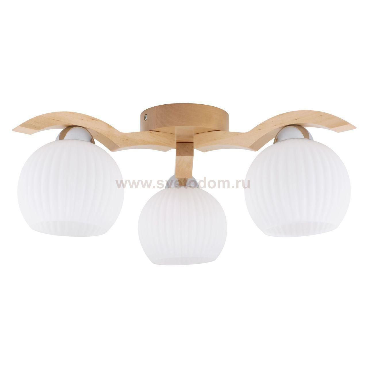 Потолочная люстра Spot Light Vasa 5640360