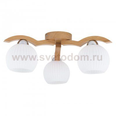 Потолочная люстра Spot Light Vasa 5640370