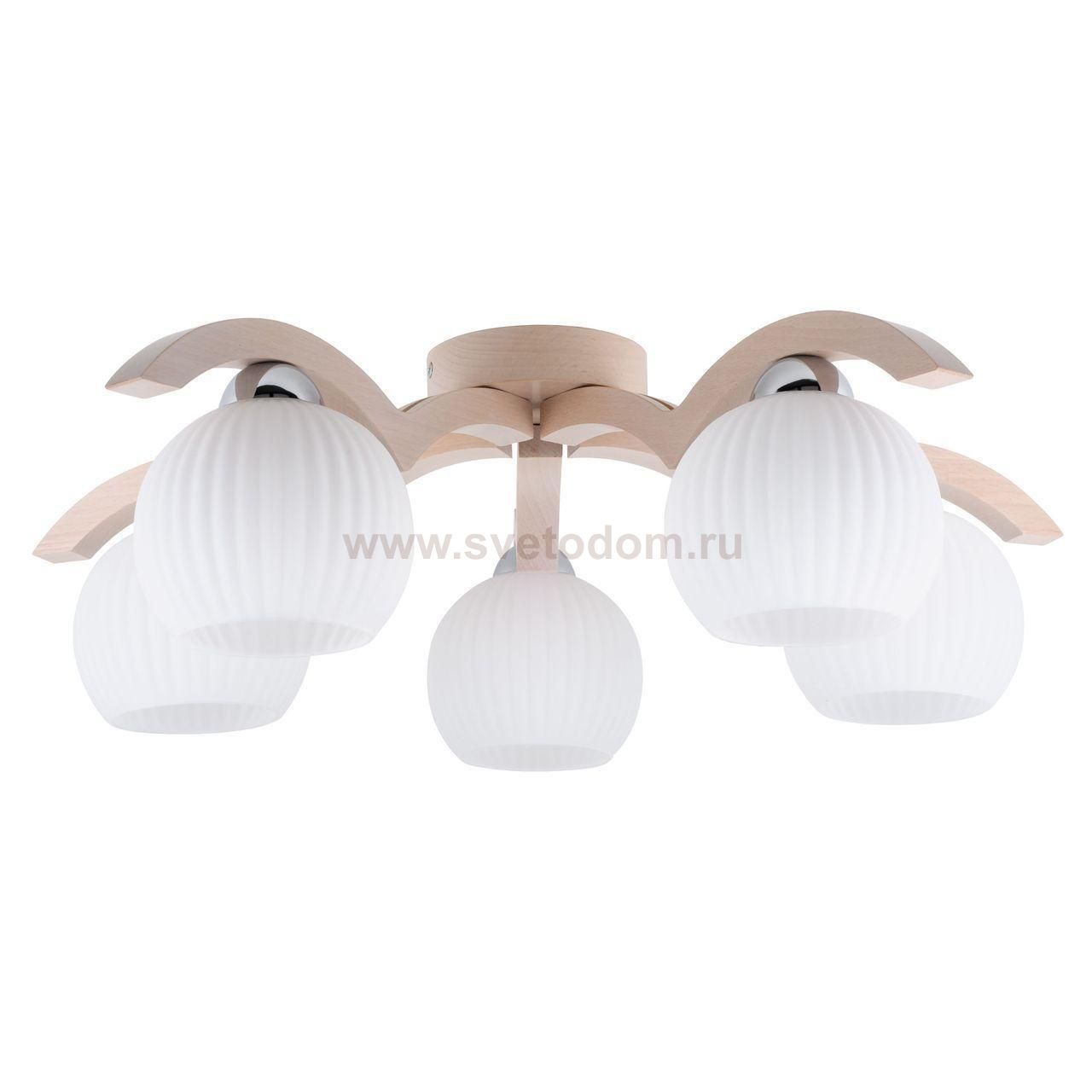 Потолочная люстра Spot Light Vasa 5640532