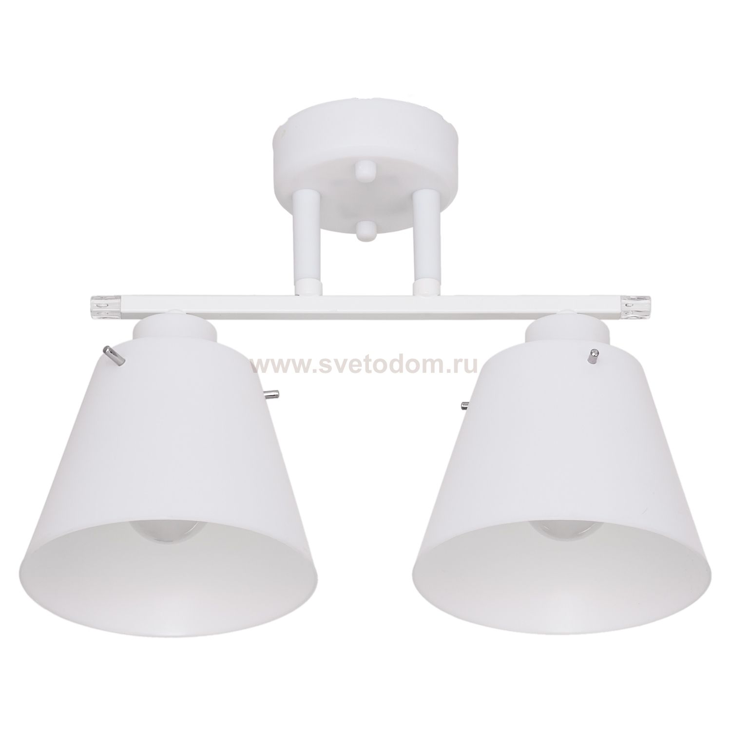 Потолочный светильник Экономсвет 56547/2WT WT