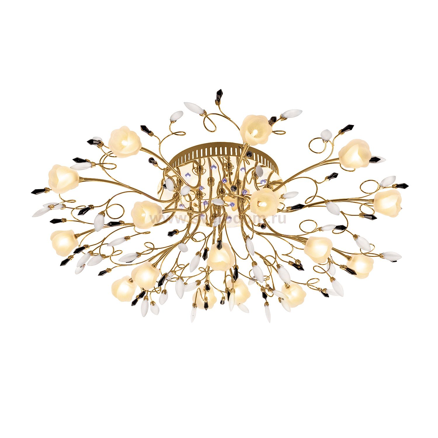 Потолочный светильник Экономсвет 5722/16FGD RC WTBLLED