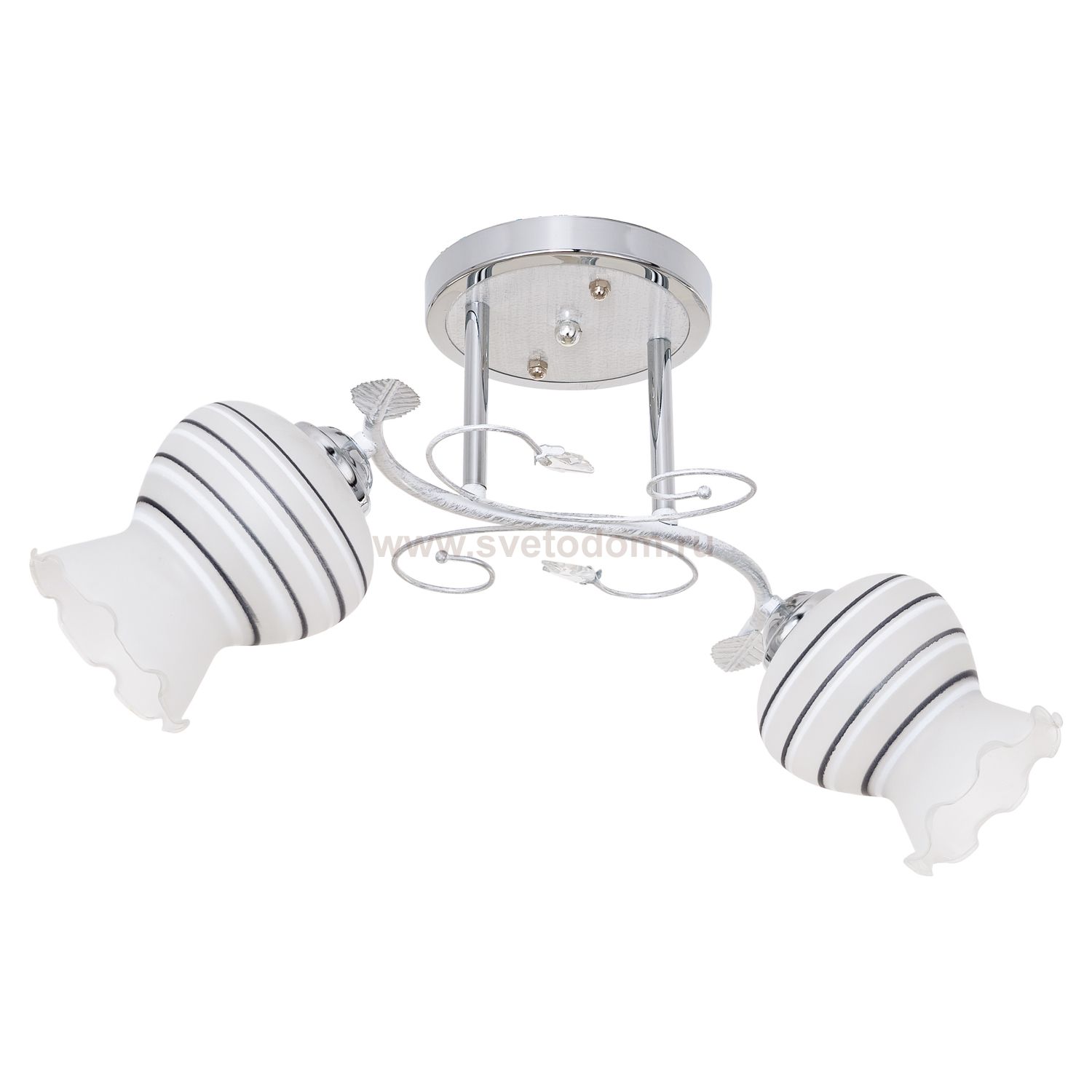 Потолочный светильник Экономсвет 5738/2CR WT