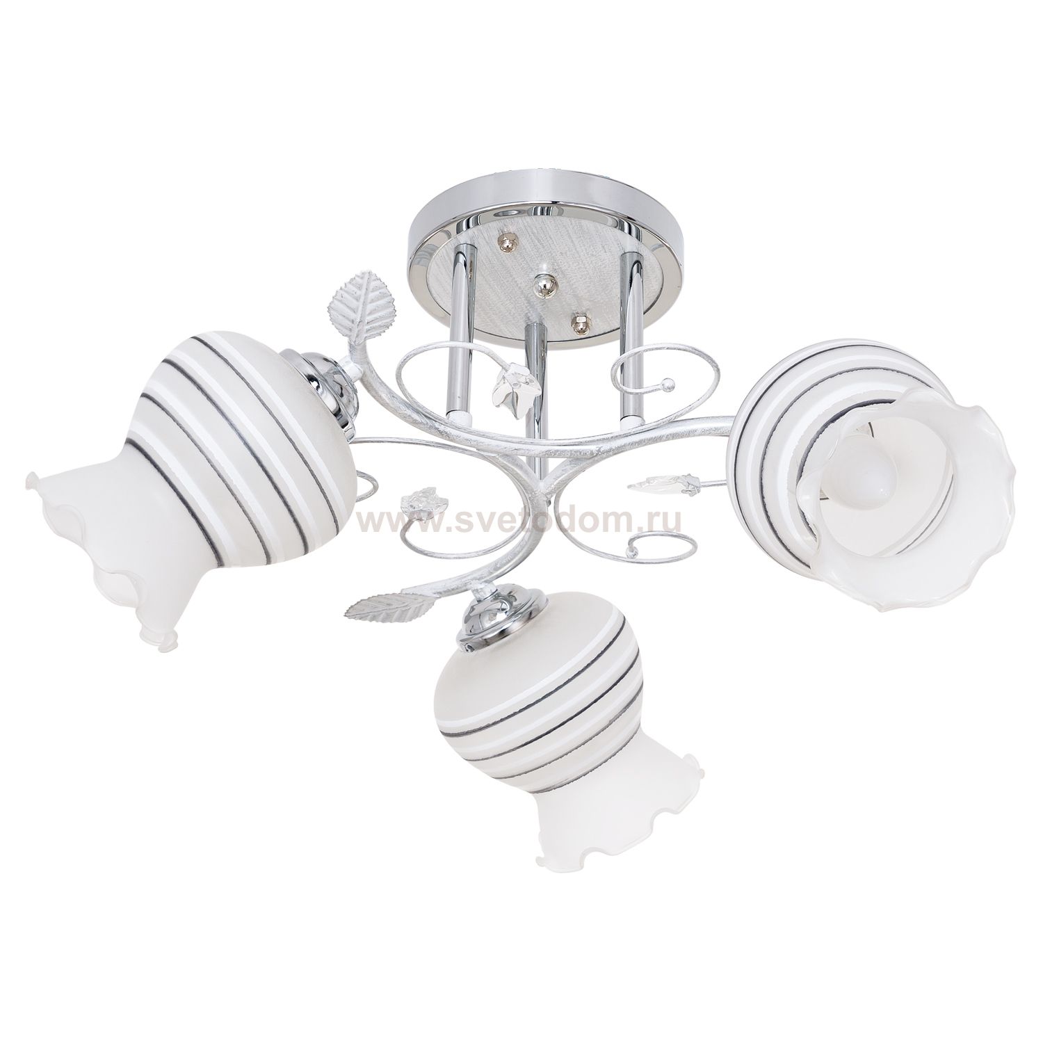Потолочный светильник Экономсвет 5738/3CR WT
