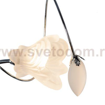 Настенный светильник Экономсвет 5763/2wCR